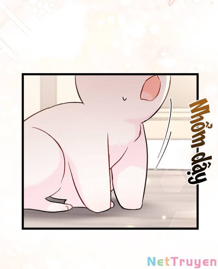 Mối Quan Hệ Cộng Sinh Giữa Báo Đen Và Thỏ Trắng - Chap 101 - Trang 49