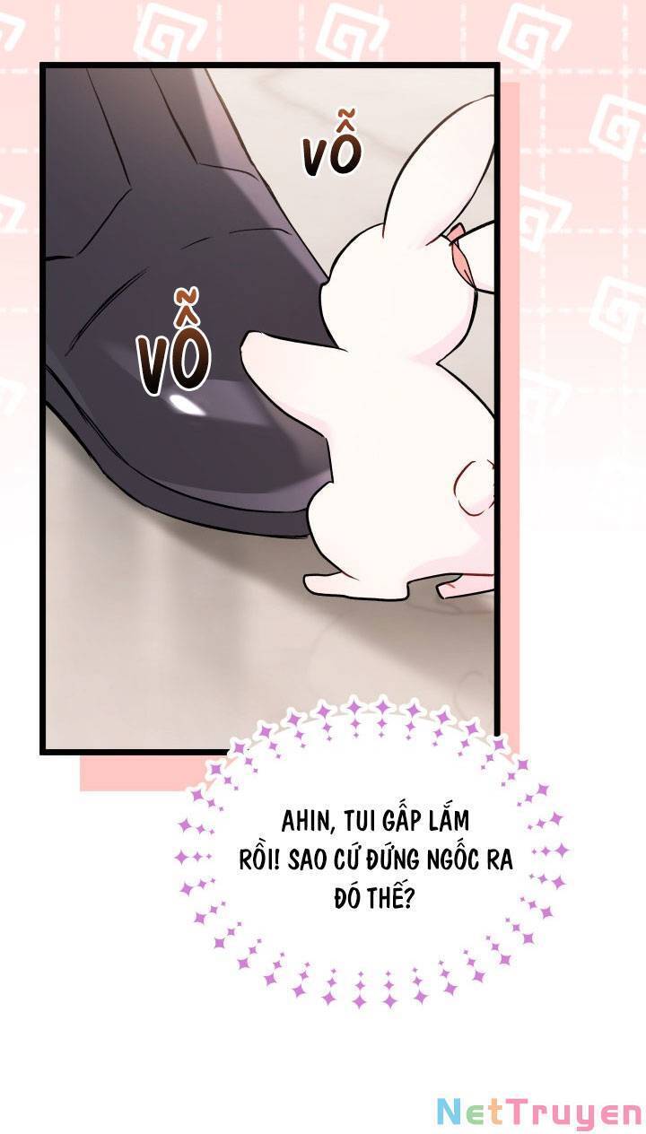 Mối Quan Hệ Cộng Sinh Giữa Báo Đen Và Thỏ Trắng - Chap 101 - Trang 54