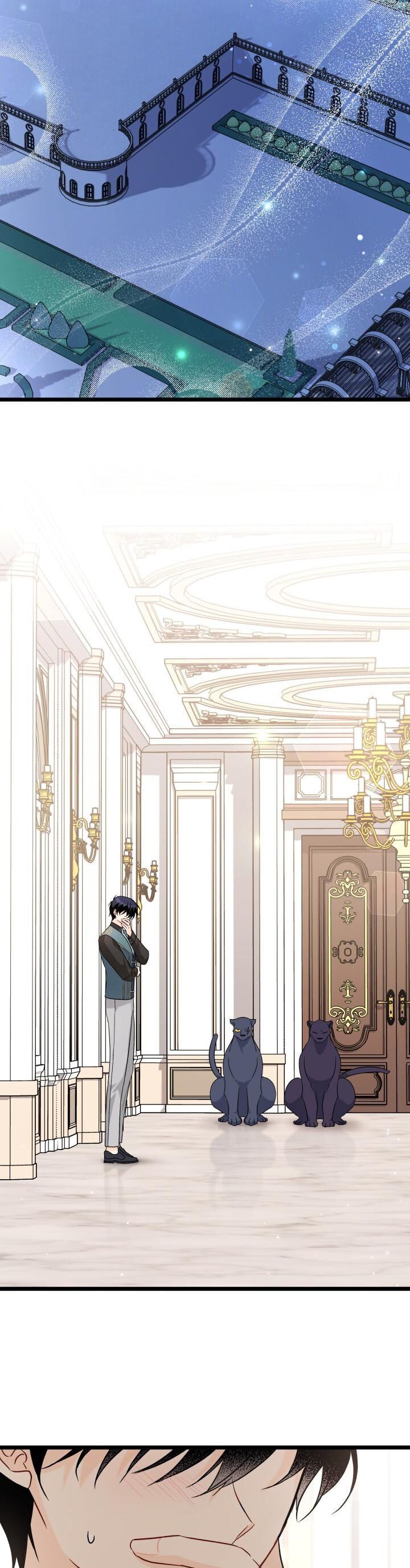 Mối Quan Hệ Cộng Sinh Giữa Báo Đen Và Thỏ Trắng - Chap 102 - Trang 12