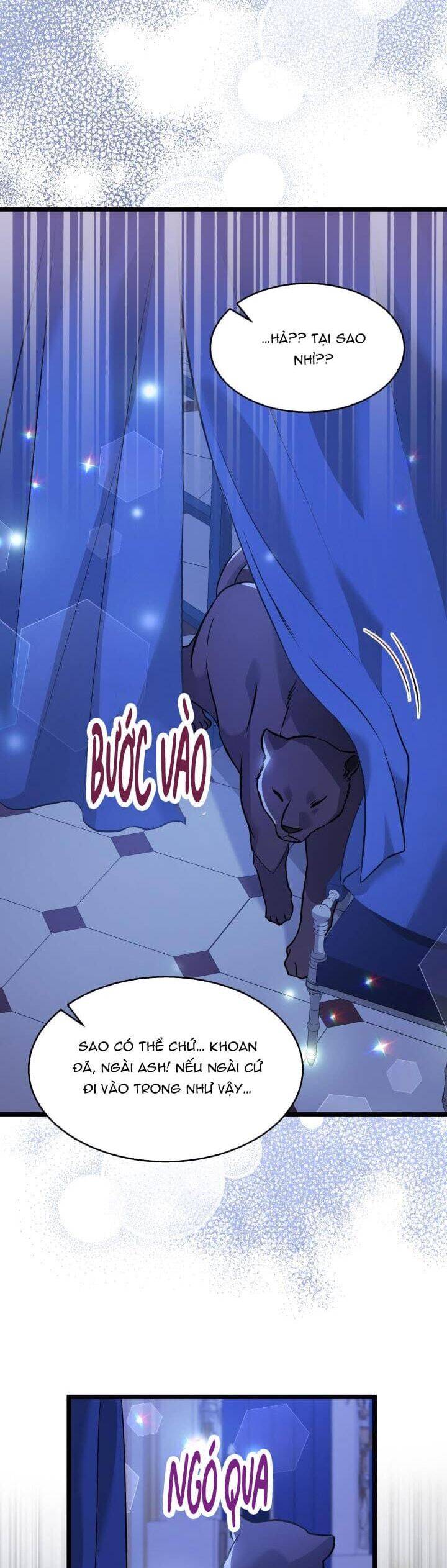 Mối Quan Hệ Cộng Sinh Giữa Báo Đen Và Thỏ Trắng - Chap 115 - Trang 19