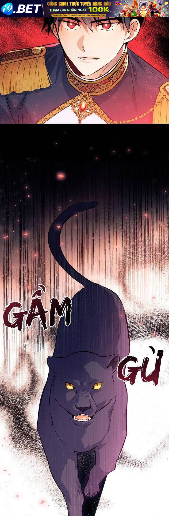 Mối Quan Hệ Cộng Sinh Giữa Báo Đen Và Thỏ Trắng - Chap 12 - Trang 29