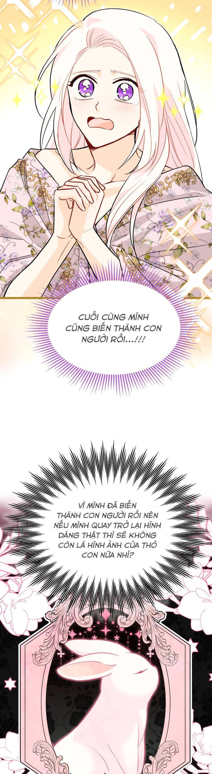 Mối Quan Hệ Cộng Sinh Giữa Báo Đen Và Thỏ Trắng - Chap 123 - Trang 24