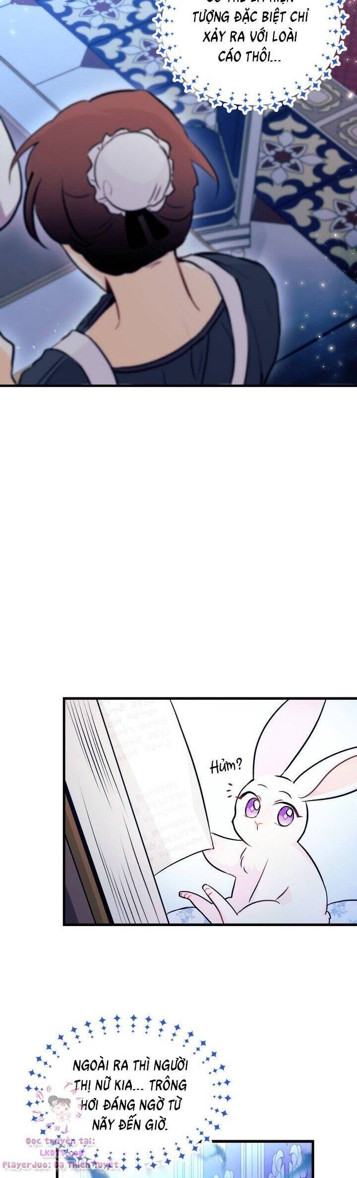Mối Quan Hệ Cộng Sinh Giữa Báo Đen Và Thỏ Trắng - Chap 13 - Trang 29