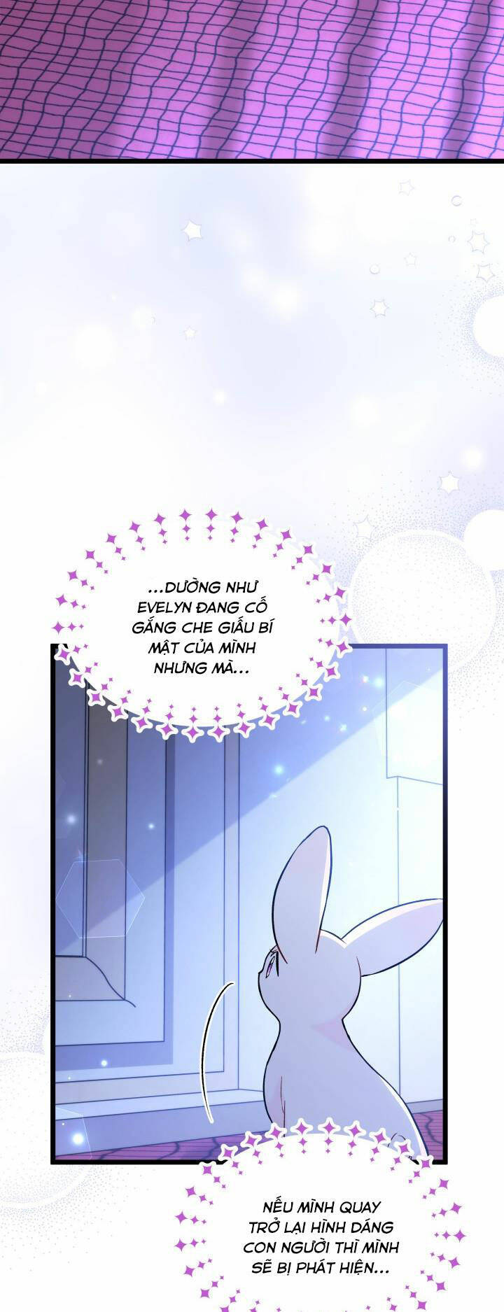 Mối Quan Hệ Cộng Sinh Giữa Báo Đen Và Thỏ Trắng - Chap 130 - Trang 27
