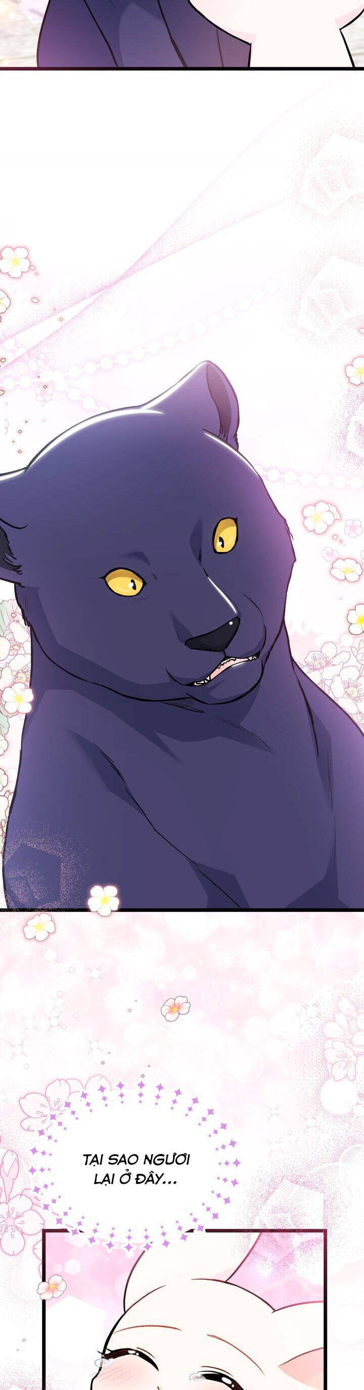 Mối Quan Hệ Cộng Sinh Giữa Báo Đen Và Thỏ Trắng - Chap 134 - Trang 36