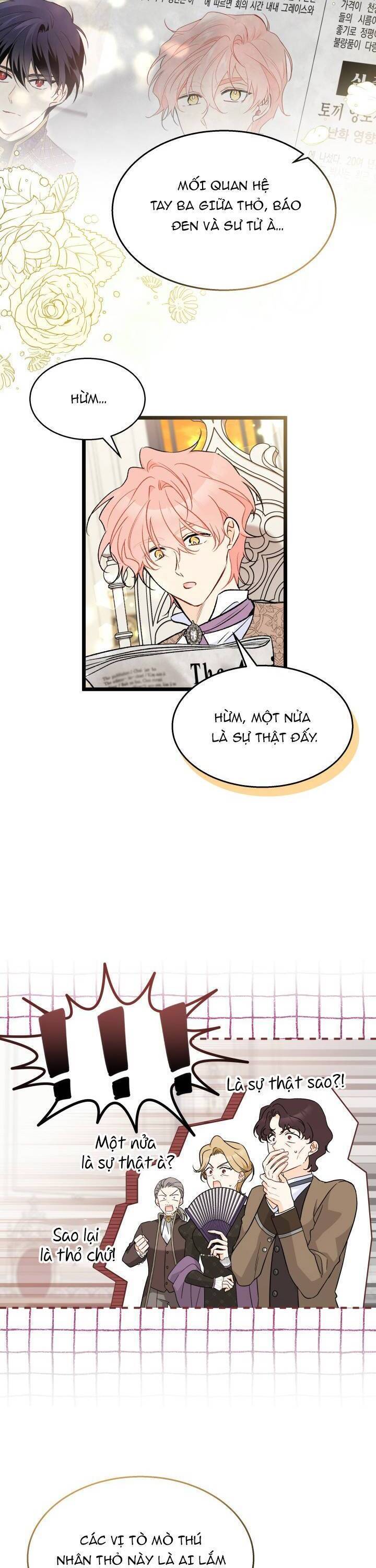 Mối Quan Hệ Cộng Sinh Giữa Báo Đen Và Thỏ Trắng - Chap 136 - Trang 24