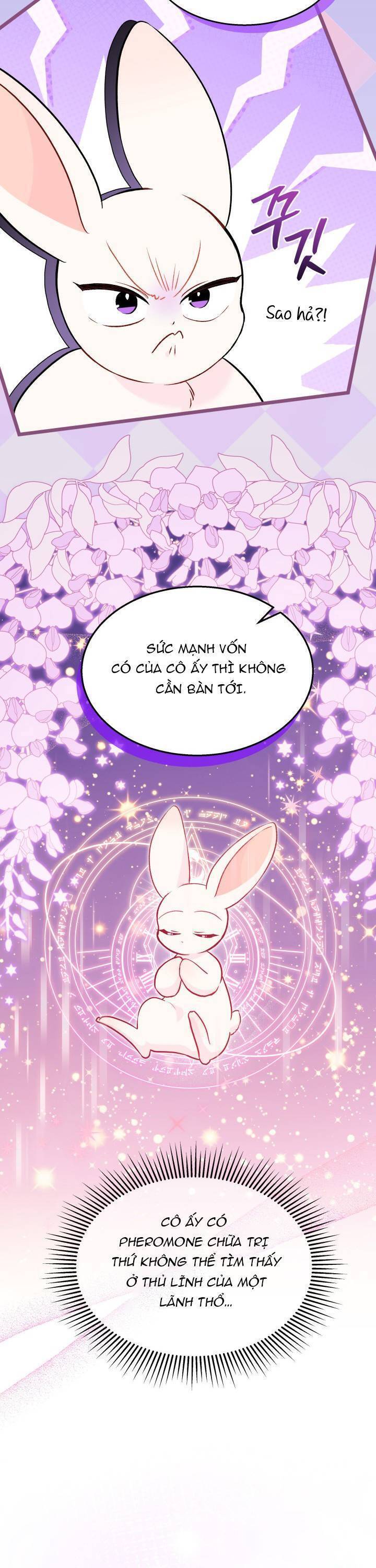 Mối Quan Hệ Cộng Sinh Giữa Báo Đen Và Thỏ Trắng - Chap 136 - Trang 27