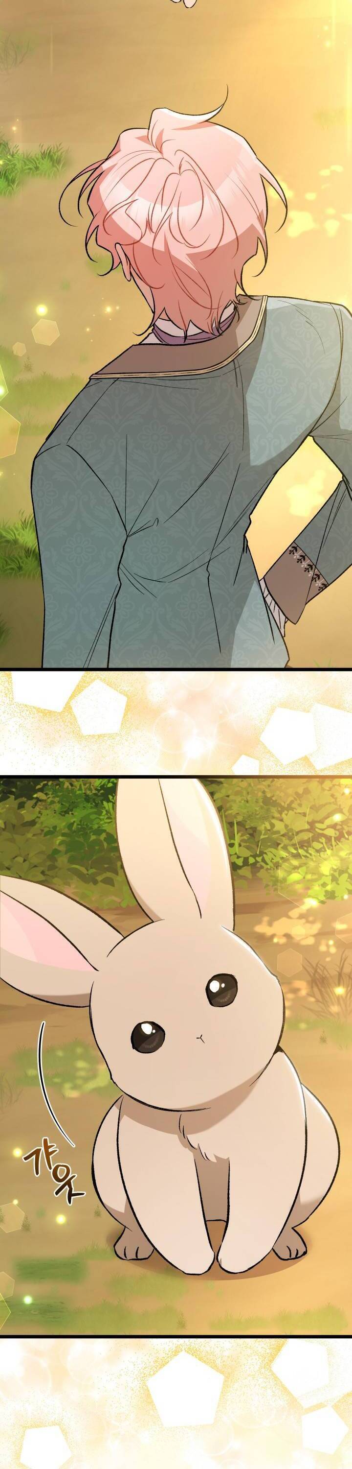 Mối Quan Hệ Cộng Sinh Giữa Báo Đen Và Thỏ Trắng - Chap 136 - Trang 36