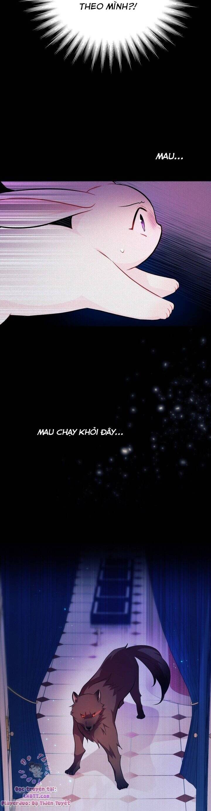 Mối Quan Hệ Cộng Sinh Giữa Báo Đen Và Thỏ Trắng - Chap 14 - Trang 11
