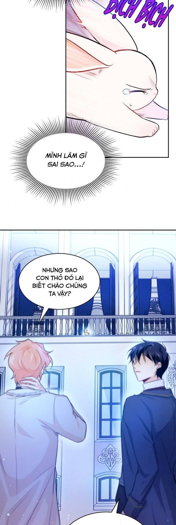Mối Quan Hệ Cộng Sinh Giữa Báo Đen Và Thỏ Trắng - Chap 14 - Trang 30