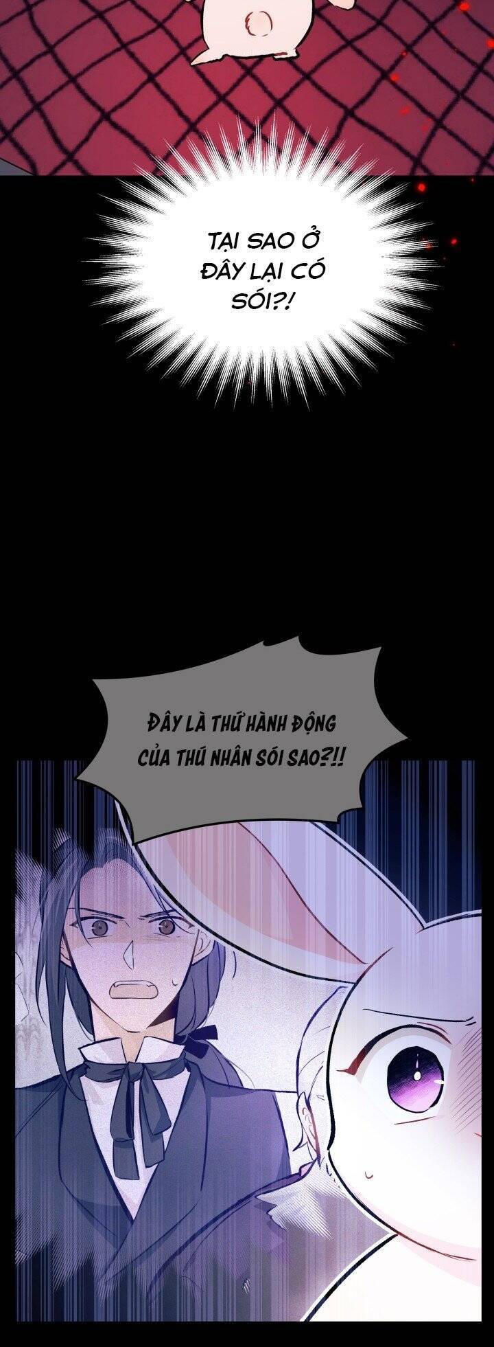 Mối Quan Hệ Cộng Sinh Giữa Báo Đen Và Thỏ Trắng - Chap 14 - Trang 7