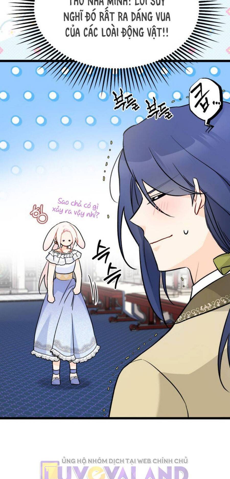 Mối Quan Hệ Cộng Sinh Giữa Báo Đen Và Thỏ Trắng - Chap 141 - Trang 35