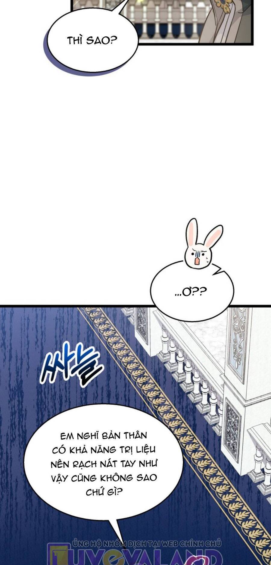Mối Quan Hệ Cộng Sinh Giữa Báo Đen Và Thỏ Trắng - Chap 142 - Trang 12