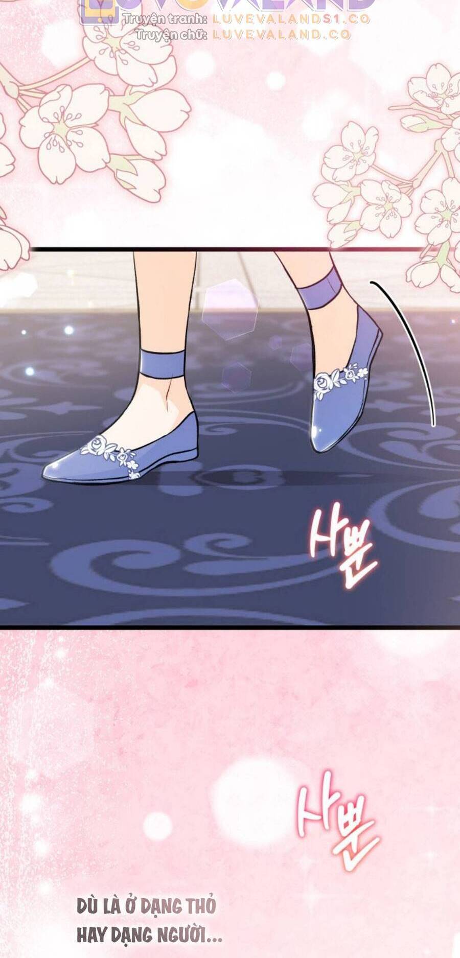 Mối Quan Hệ Cộng Sinh Giữa Báo Đen Và Thỏ Trắng - Chap 143 - Trang 25