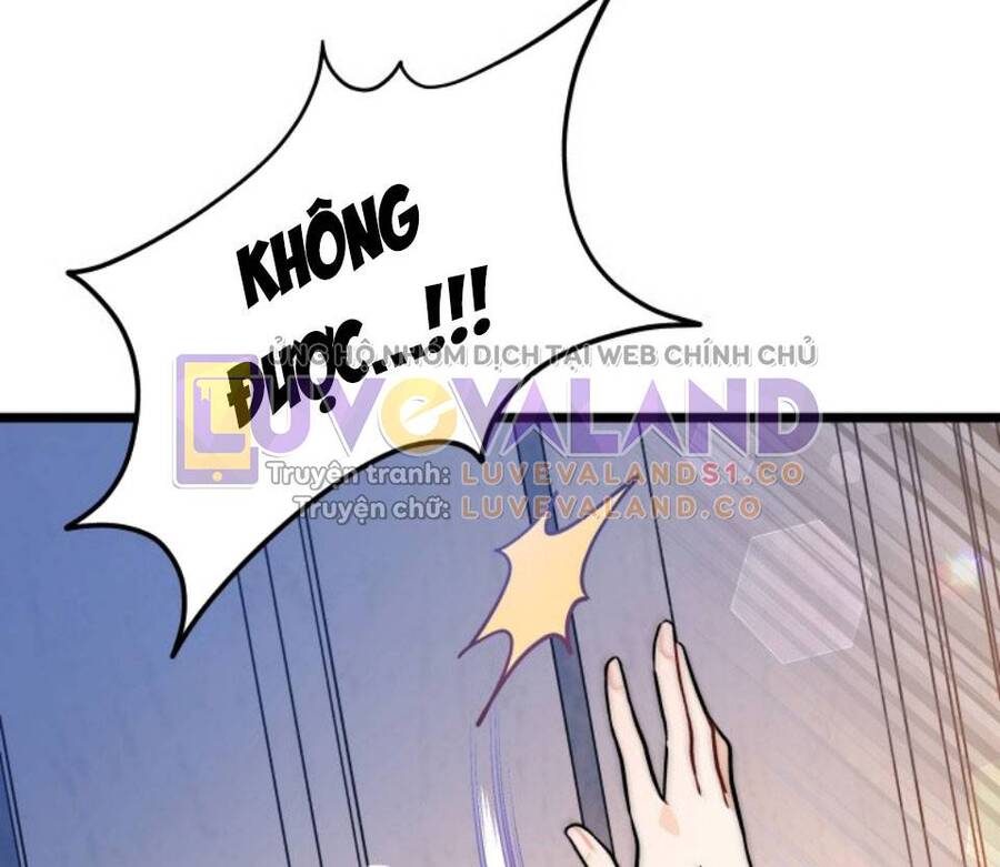 Mối Quan Hệ Cộng Sinh Giữa Báo Đen Và Thỏ Trắng - Chap 144 - Trang 31