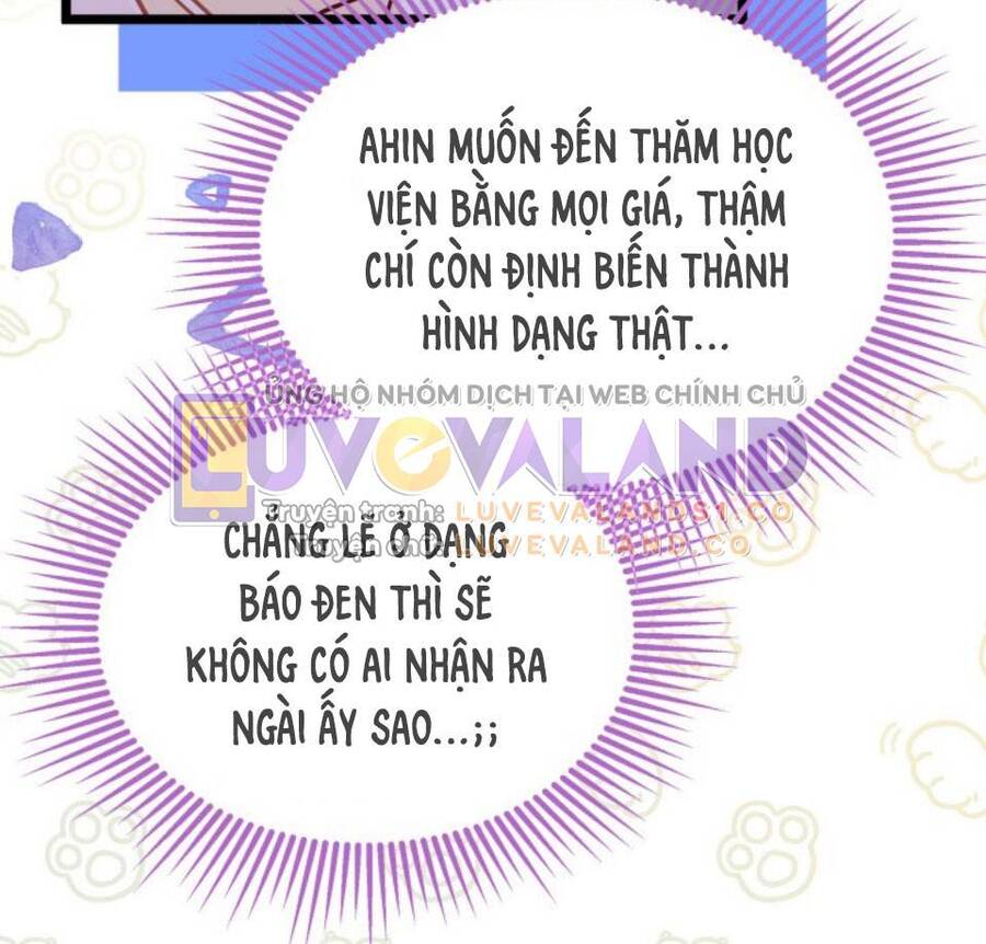 Mối Quan Hệ Cộng Sinh Giữa Báo Đen Và Thỏ Trắng - Chap 145 - Trang 16