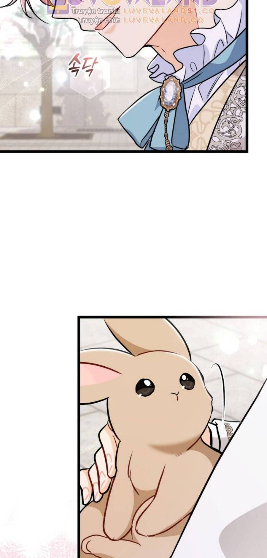 Mối Quan Hệ Cộng Sinh Giữa Báo Đen Và Thỏ Trắng - Chap 145 - Trang 71