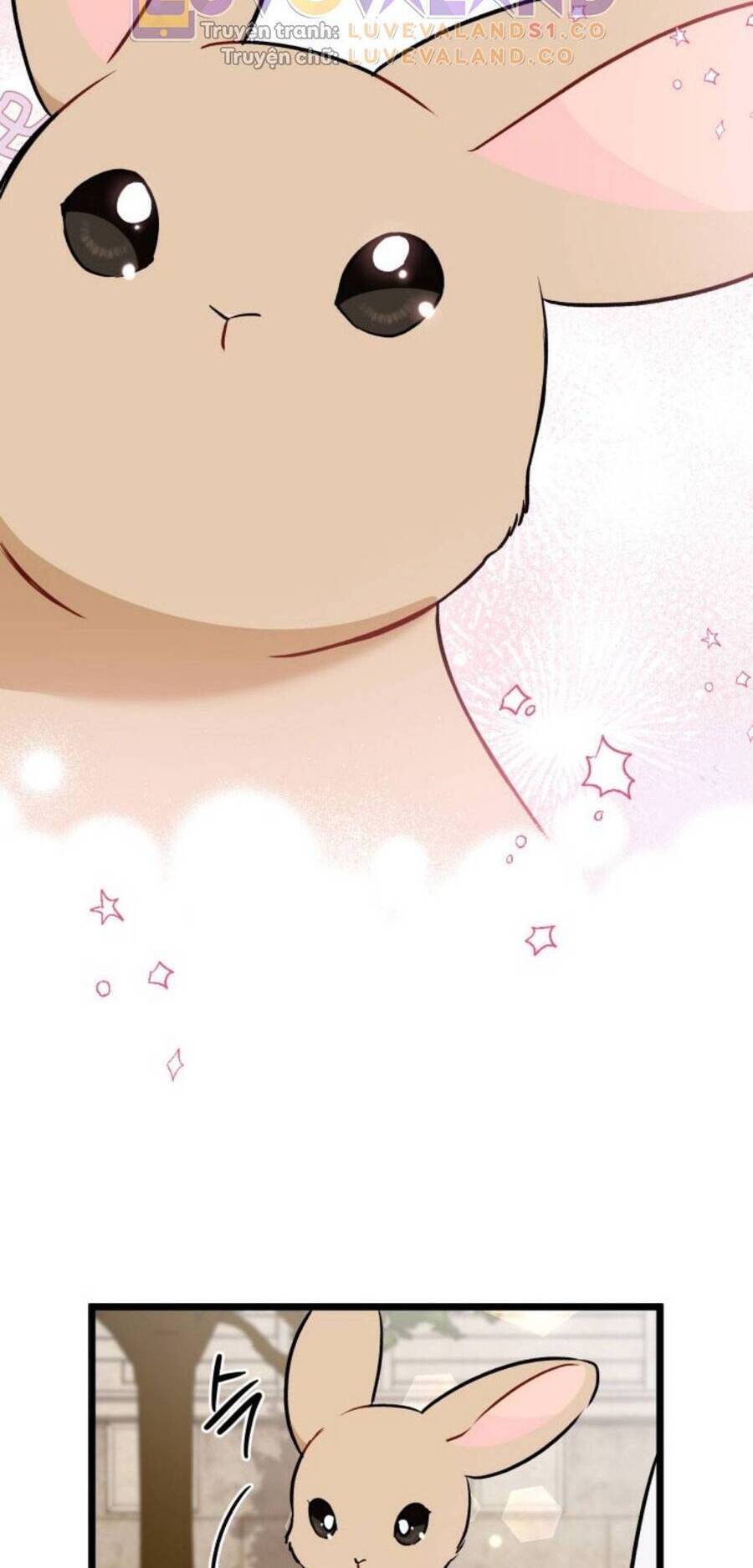 Mối Quan Hệ Cộng Sinh Giữa Báo Đen Và Thỏ Trắng - Chap 145 - Trang 73