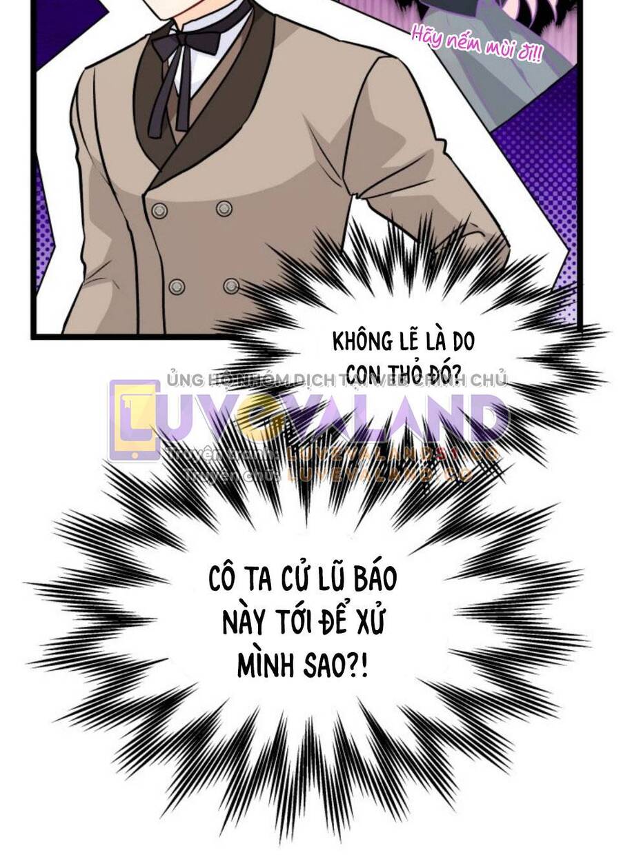 Mối Quan Hệ Cộng Sinh Giữa Báo Đen Và Thỏ Trắng - Chap 146 - Trang 31