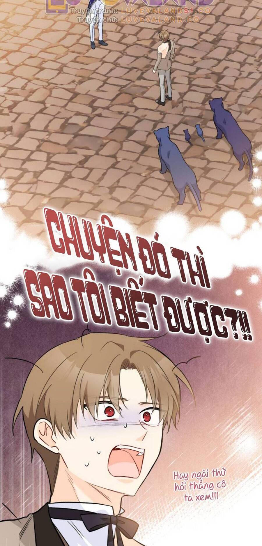 Mối Quan Hệ Cộng Sinh Giữa Báo Đen Và Thỏ Trắng - Chap 146 - Trang 63