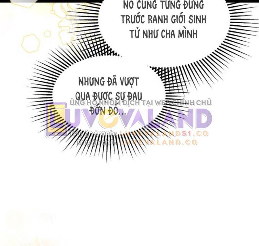 Mối Quan Hệ Cộng Sinh Giữa Báo Đen Và Thỏ Trắng - Chap 148 - Trang 16