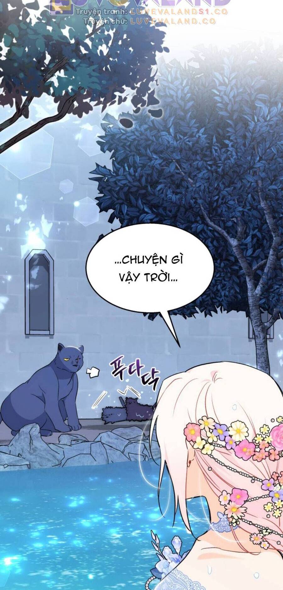 Mối Quan Hệ Cộng Sinh Giữa Báo Đen Và Thỏ Trắng - Chap 148 - Trang 68