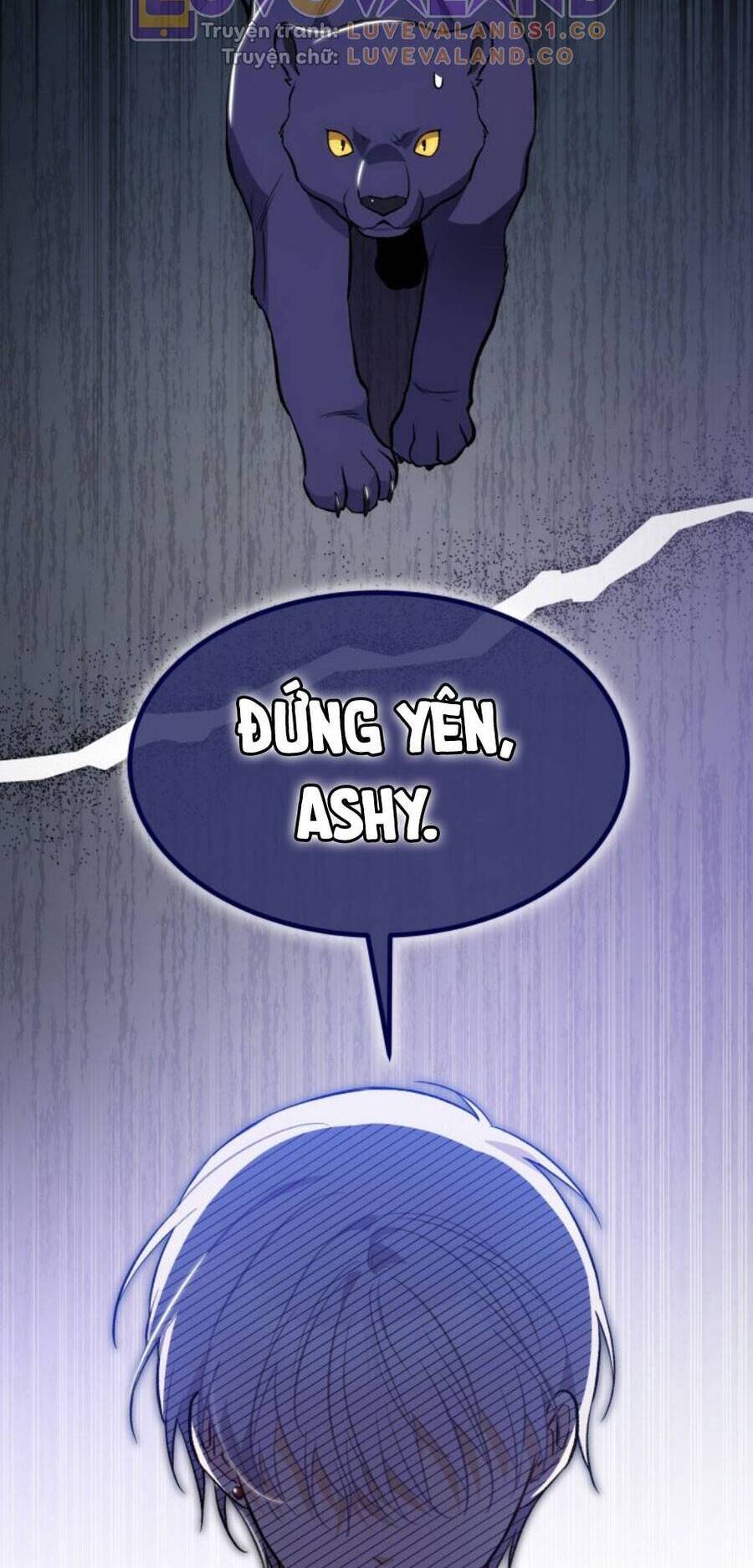 Mối Quan Hệ Cộng Sinh Giữa Báo Đen Và Thỏ Trắng - Chap 149 - Trang 41