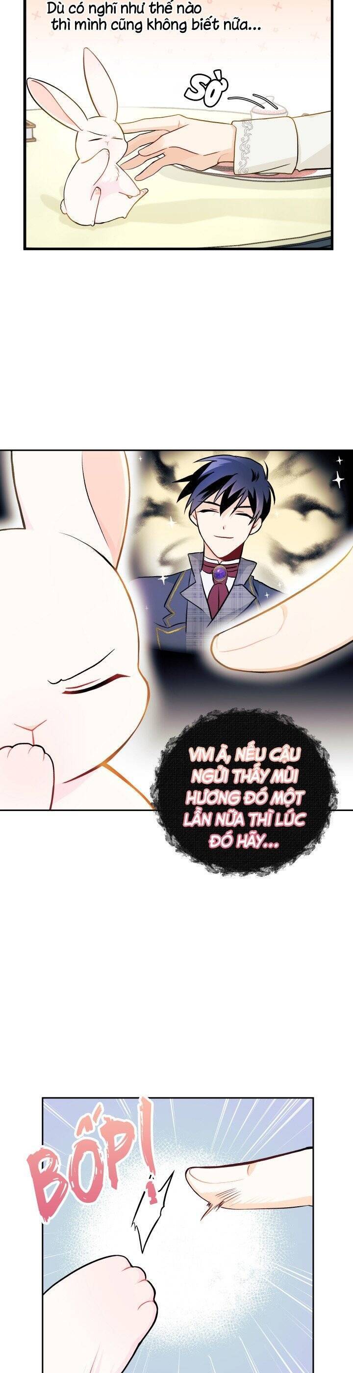 Mối Quan Hệ Cộng Sinh Giữa Báo Đen Và Thỏ Trắng - Chap 15 - Trang 10