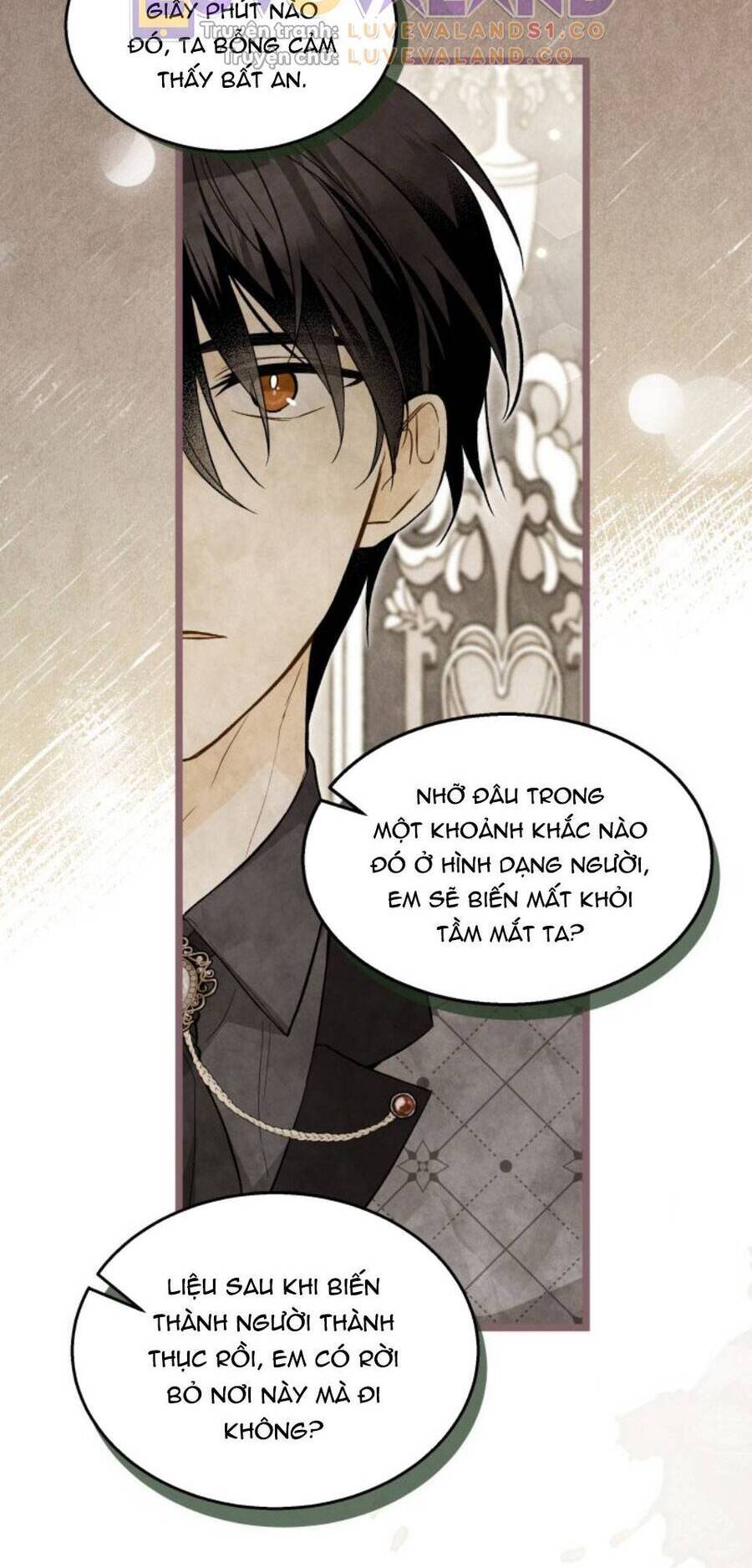Mối Quan Hệ Cộng Sinh Giữa Báo Đen Và Thỏ Trắng - Chap 150 - Trang 13
