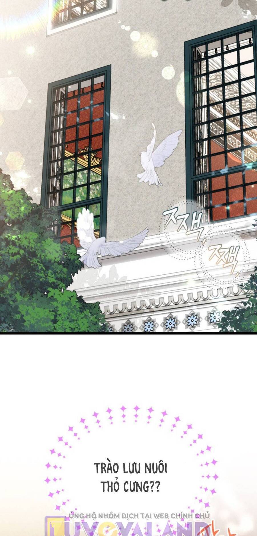 Mối Quan Hệ Cộng Sinh Giữa Báo Đen Và Thỏ Trắng - Chap 150 - Trang 36