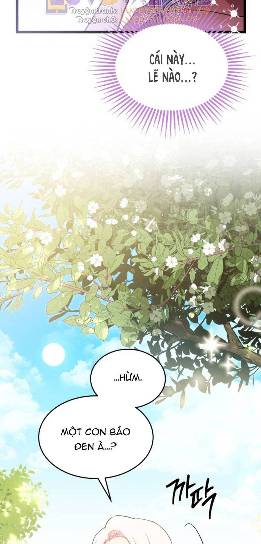 Mối Quan Hệ Cộng Sinh Giữa Báo Đen Và Thỏ Trắng - Chap 150 - Trang 64