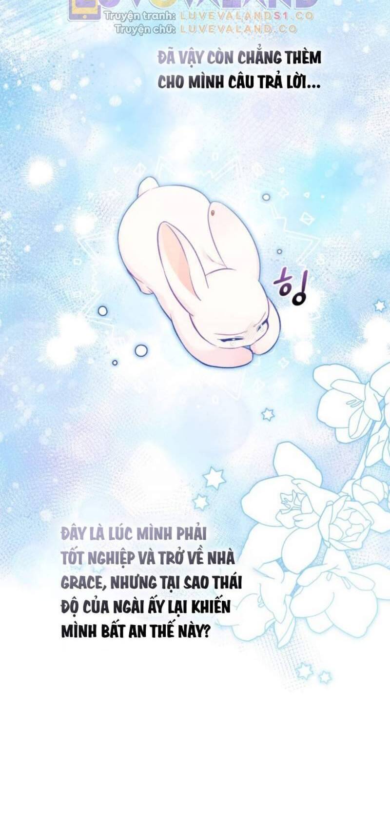 Mối Quan Hệ Cộng Sinh Giữa Báo Đen Và Thỏ Trắng - Chap 151 - Trang 26