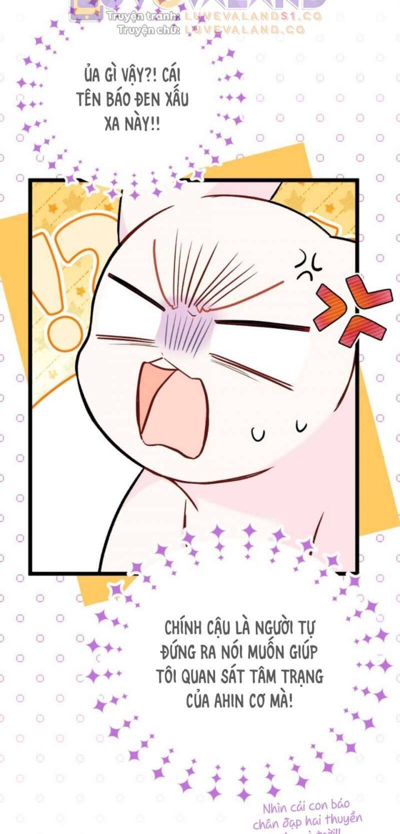 Mối Quan Hệ Cộng Sinh Giữa Báo Đen Và Thỏ Trắng - Chap 151 - Trang 60