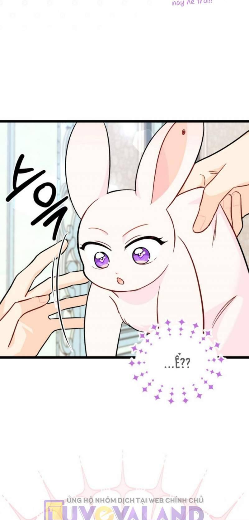 Mối Quan Hệ Cộng Sinh Giữa Báo Đen Và Thỏ Trắng - Chap 151 - Trang 61