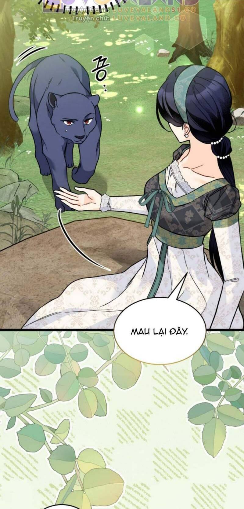 Mối Quan Hệ Cộng Sinh Giữa Báo Đen Và Thỏ Trắng - Chap 153 - Trang 22