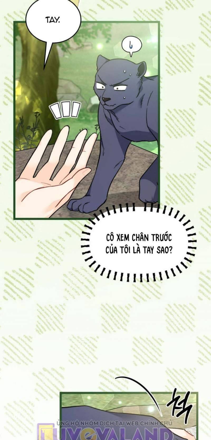 Mối Quan Hệ Cộng Sinh Giữa Báo Đen Và Thỏ Trắng - Chap 153 - Trang 23