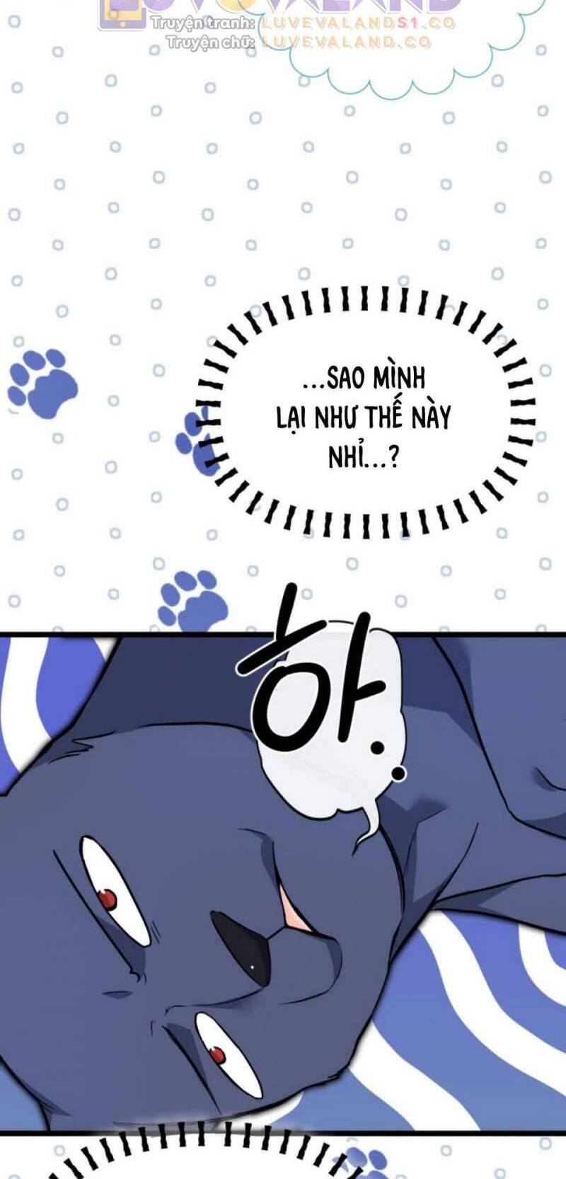 Mối Quan Hệ Cộng Sinh Giữa Báo Đen Và Thỏ Trắng - Chap 153 - Trang 26