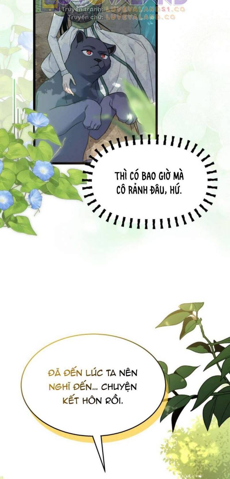 Mối Quan Hệ Cộng Sinh Giữa Báo Đen Và Thỏ Trắng - Chap 153 - Trang 28