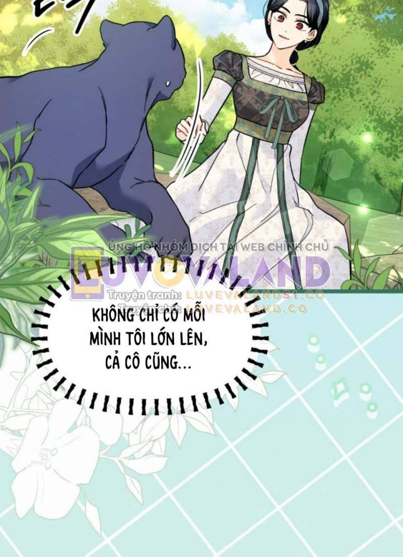 Mối Quan Hệ Cộng Sinh Giữa Báo Đen Và Thỏ Trắng - Chap 153 - Trang 31