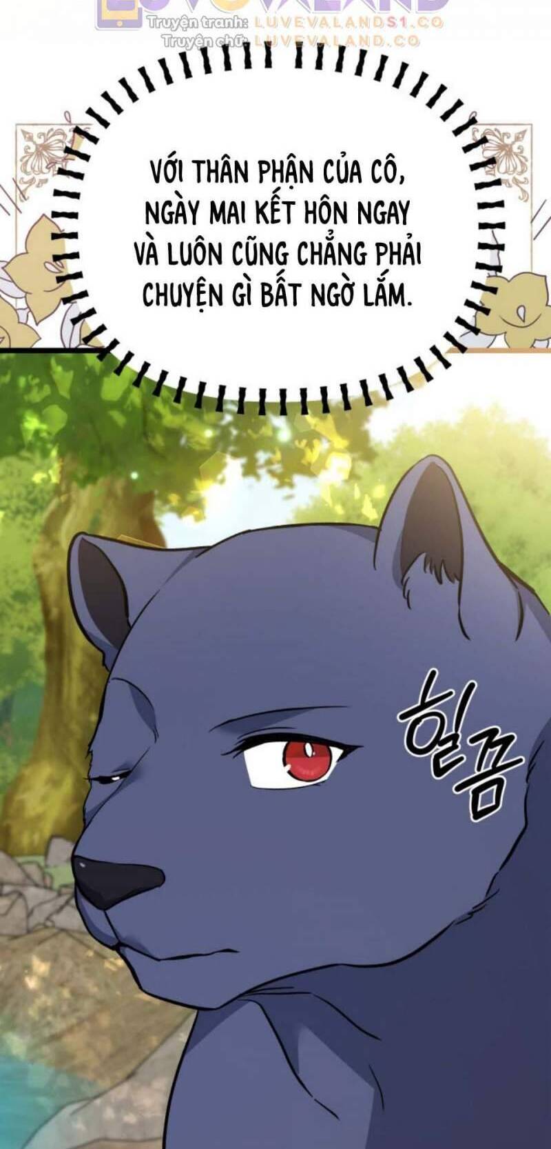 Mối Quan Hệ Cộng Sinh Giữa Báo Đen Và Thỏ Trắng - Chap 153 - Trang 33
