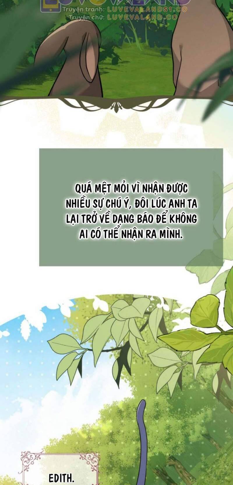 Mối Quan Hệ Cộng Sinh Giữa Báo Đen Và Thỏ Trắng - Chap 153 - Trang 5