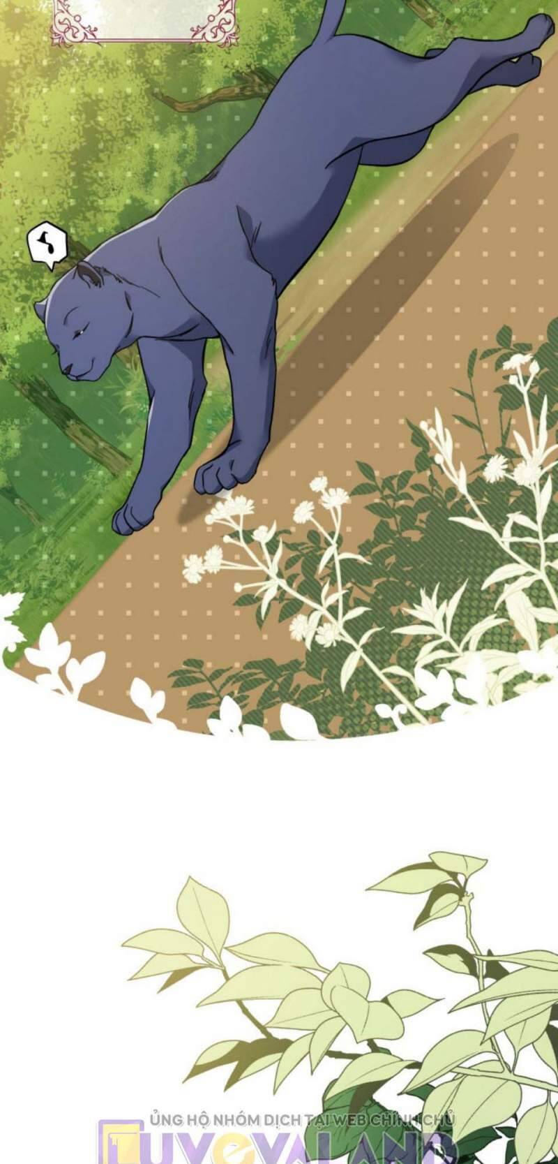 Mối Quan Hệ Cộng Sinh Giữa Báo Đen Và Thỏ Trắng - Chap 153 - Trang 6