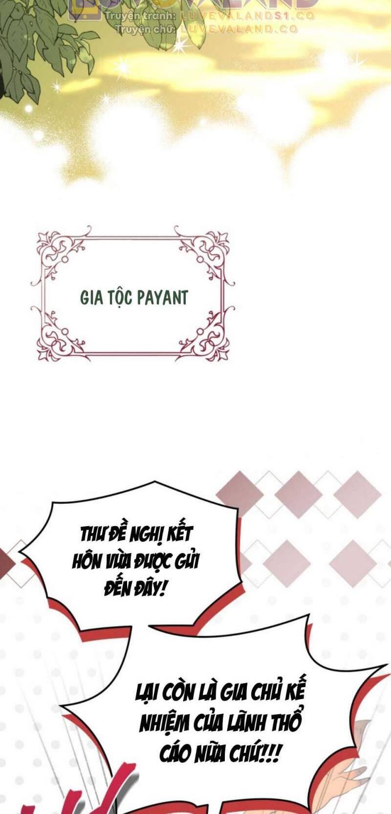 Mối Quan Hệ Cộng Sinh Giữa Báo Đen Và Thỏ Trắng - Chap 153 - Trang 9
