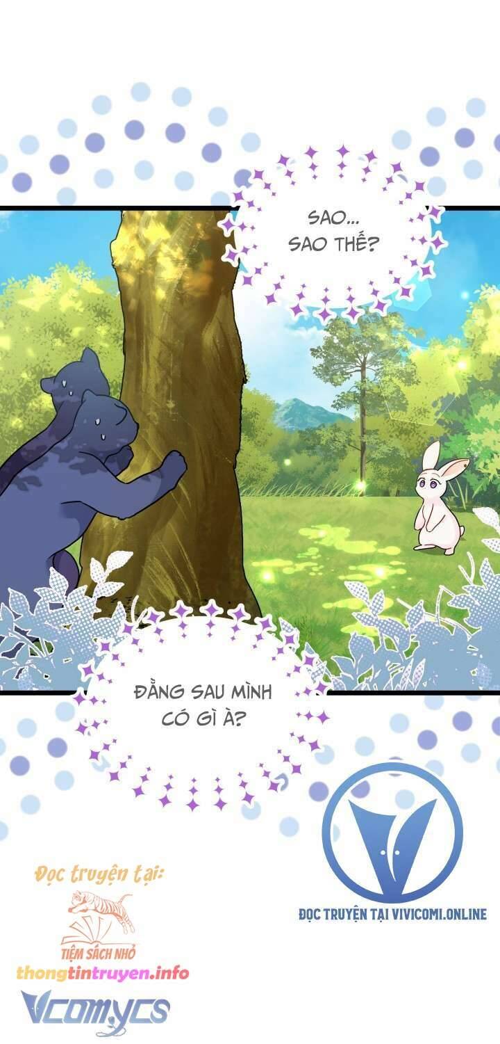 Mối Quan Hệ Cộng Sinh Giữa Báo Đen Và Thỏ Trắng - Chap 155 - Trang 26