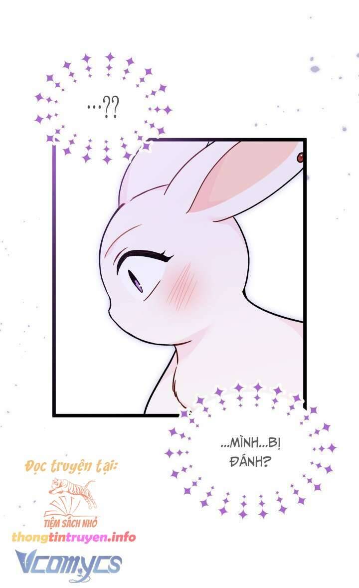 Mối Quan Hệ Cộng Sinh Giữa Báo Đen Và Thỏ Trắng - Chap 155 - Trang 33