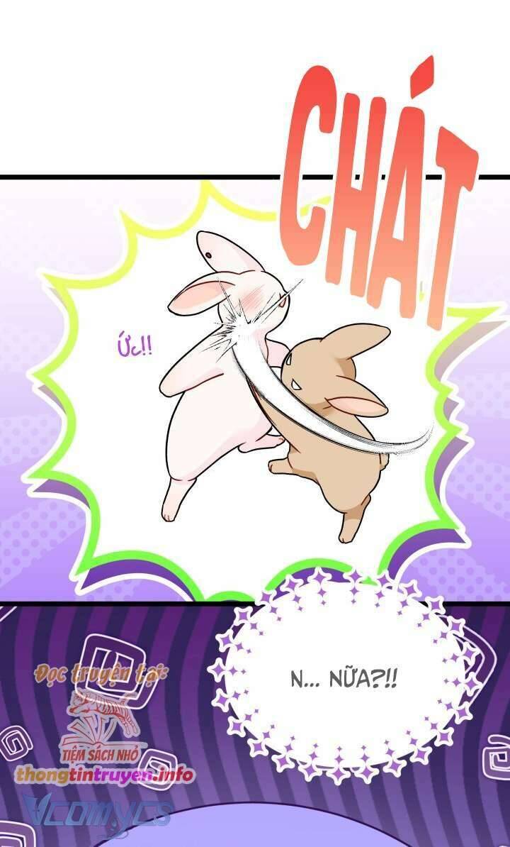 Mối Quan Hệ Cộng Sinh Giữa Báo Đen Và Thỏ Trắng - Chap 155 - Trang 34