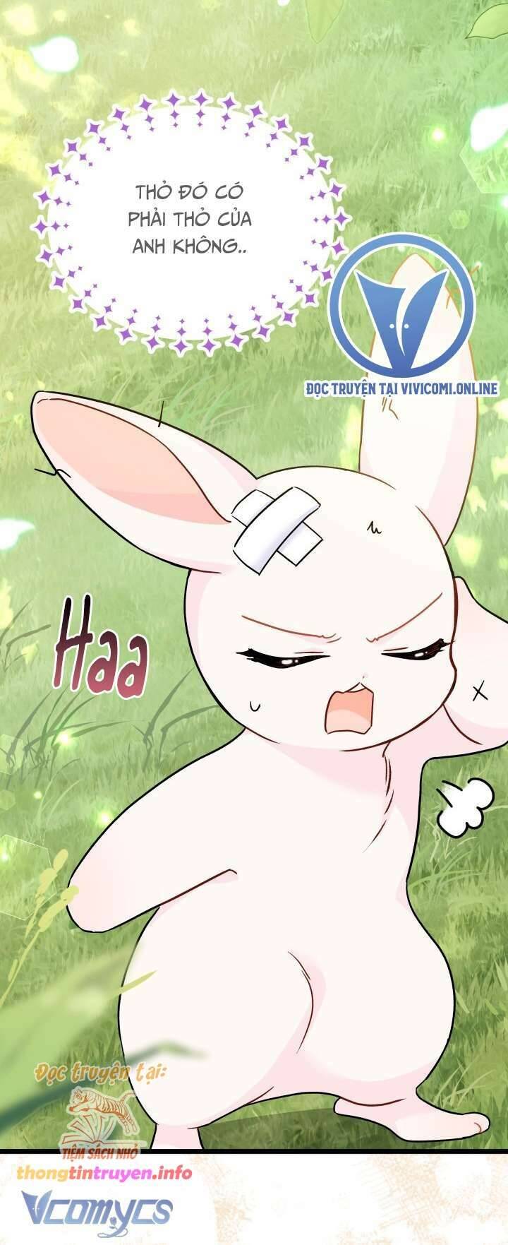 Mối Quan Hệ Cộng Sinh Giữa Báo Đen Và Thỏ Trắng - Chap 155 - Trang 44