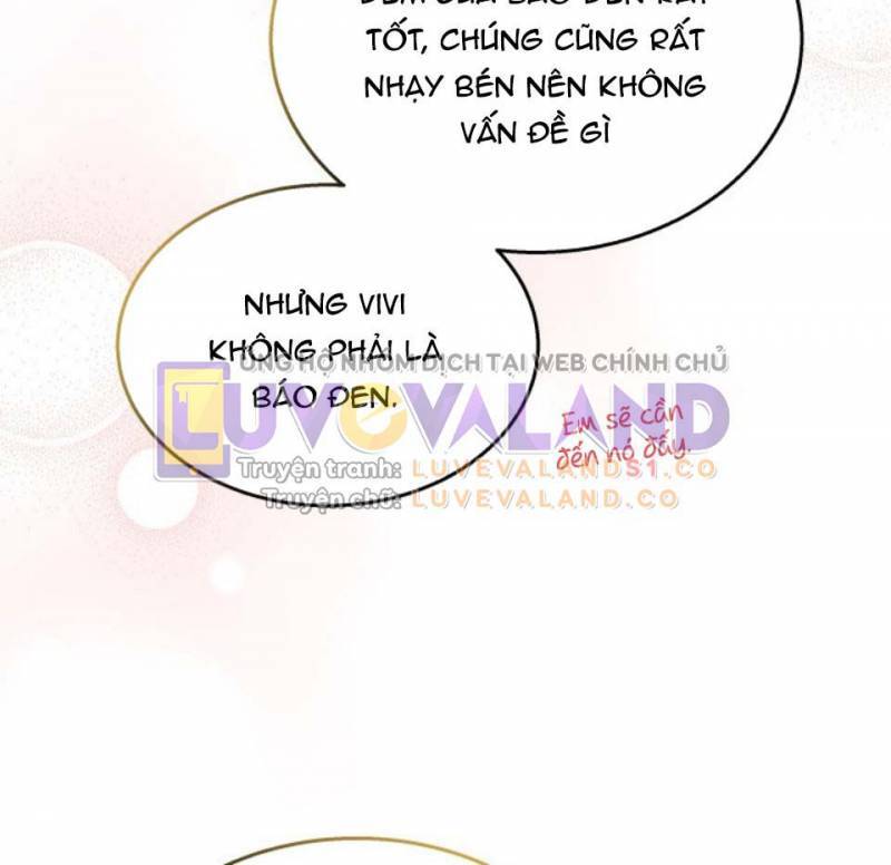Mối Quan Hệ Cộng Sinh Giữa Báo Đen Và Thỏ Trắng - Chap 157 - Trang 16
