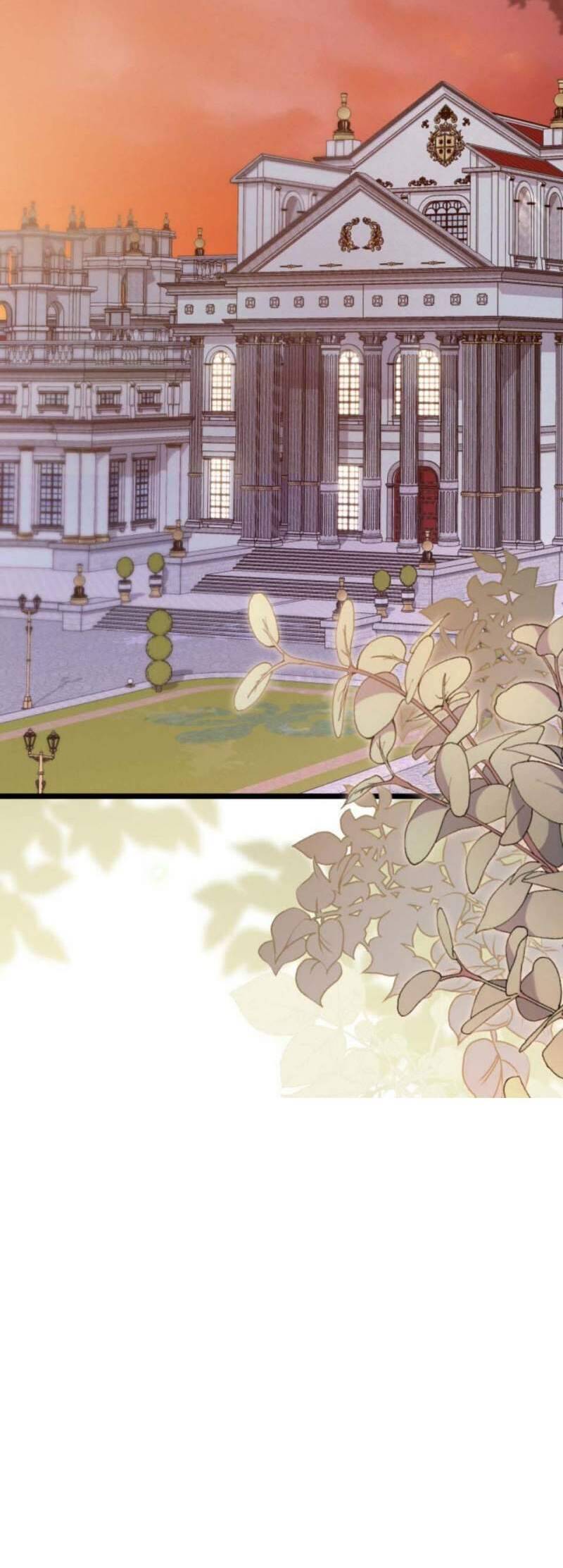 Mối Quan Hệ Cộng Sinh Giữa Báo Đen Và Thỏ Trắng - Chap 157 - Trang 3