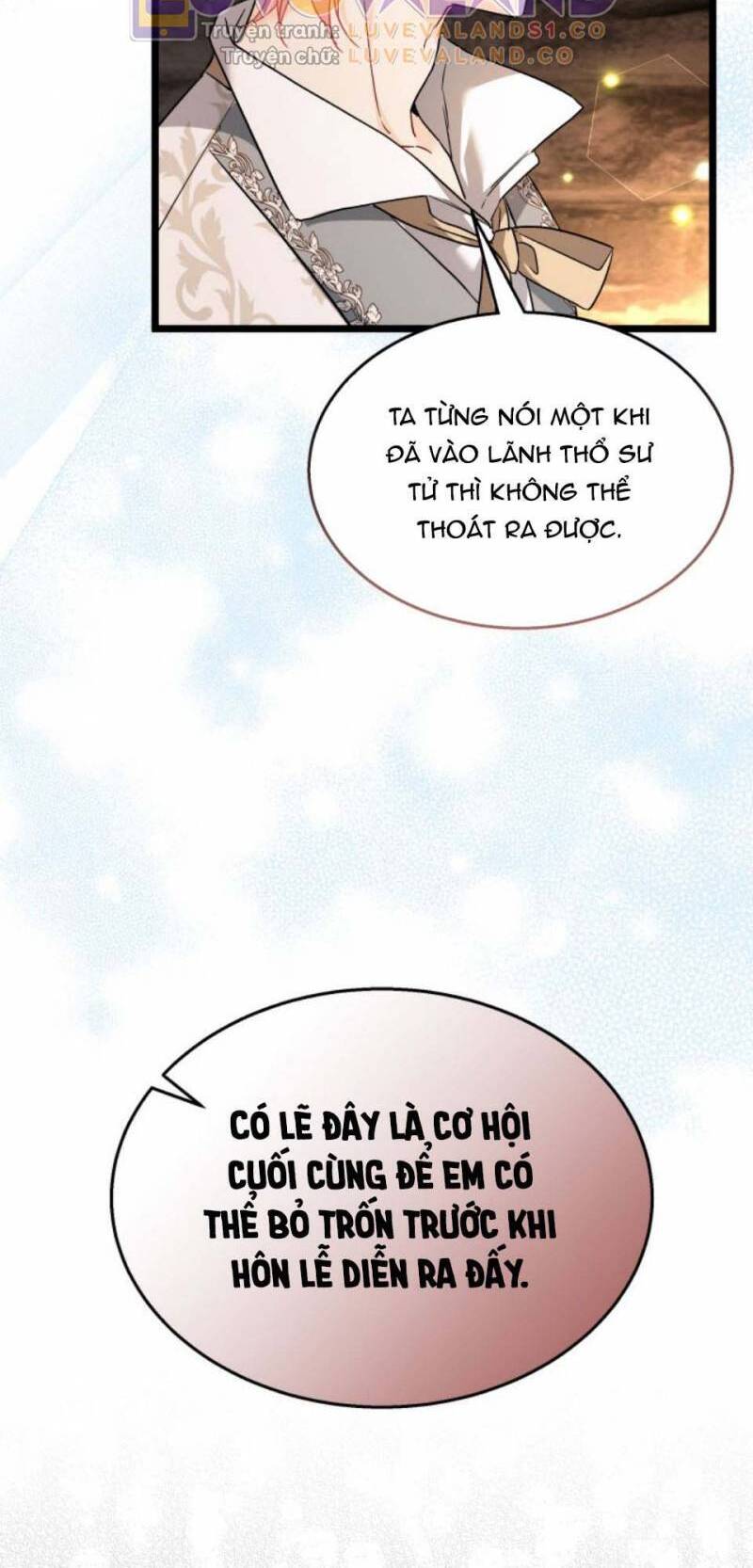 Mối Quan Hệ Cộng Sinh Giữa Báo Đen Và Thỏ Trắng - Chap 157 - Trang 24